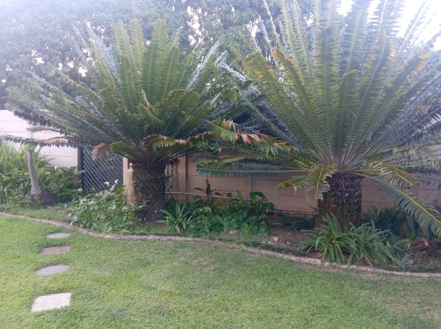 To Let 4 Bedroom Property for Rent in Bodorp North West